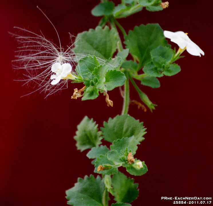 25884CrLe - Time - Motion on a Sunday afternoon